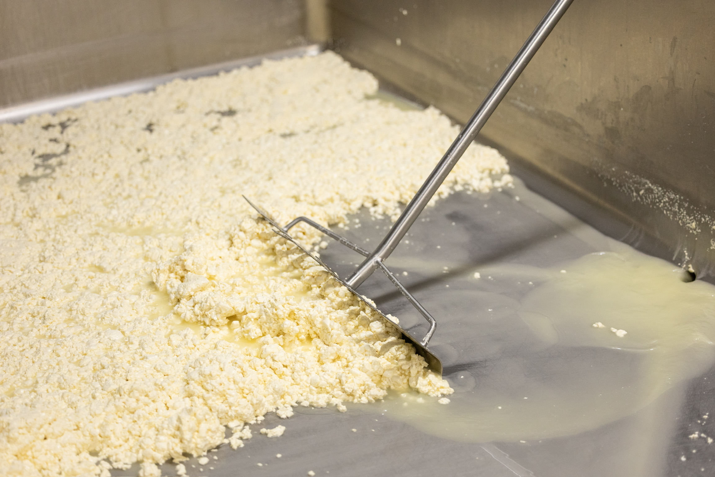 Melody - cheesemaking Image placeholder indicating a photo is needed, typically used in web design or content management systems to signal missing visual content.